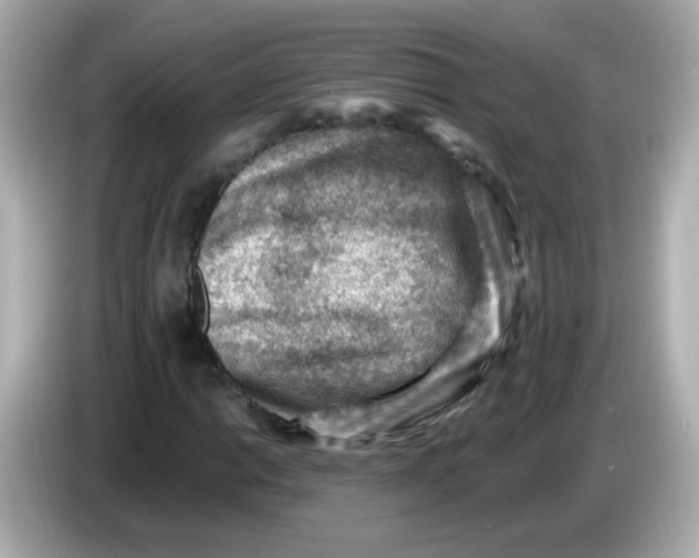 X0000085801014200704091445