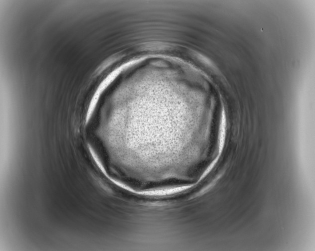 X0000085801017200704091445