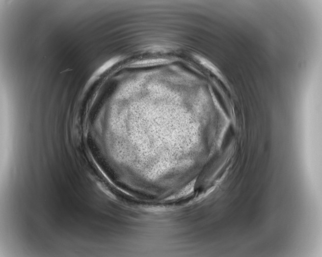 X0000085801018200704091445