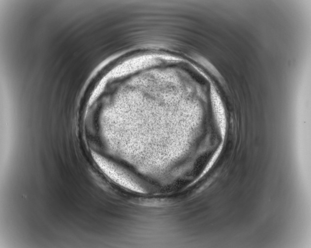 X0000085801020200704091445