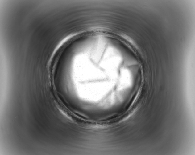 X0000085801022200704091445