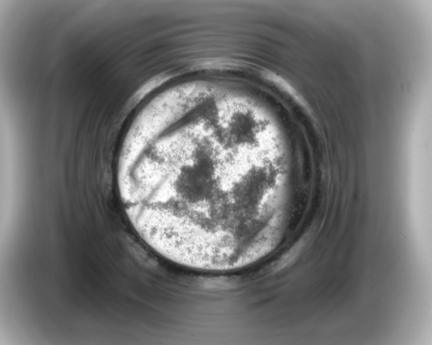 X0000085801025200704091445