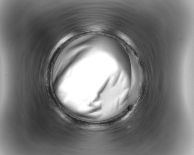 X0000085801026200704091445