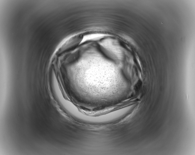 X0000085801030200704091445