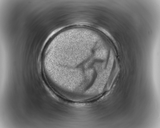 X0000085801032200704091445