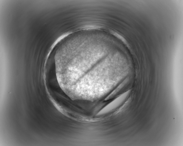 X0000085801034200704091445