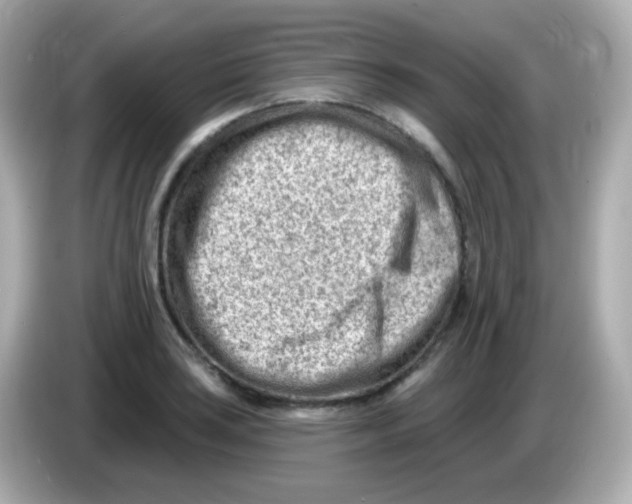 X0000085801035200704091445