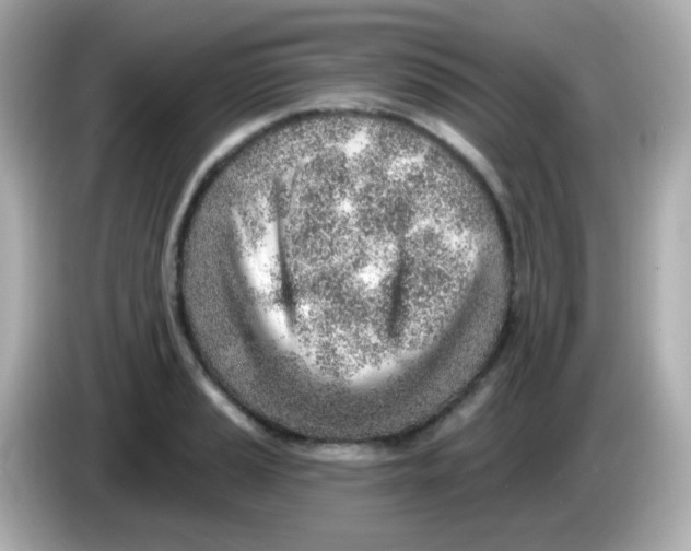 X0000085801037200704091445