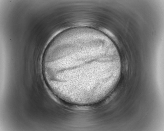 X0000085801039200704091445