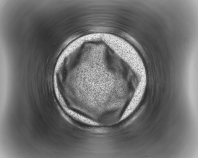 X0000085801041200704091445