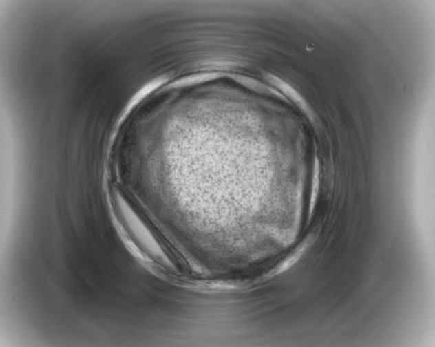 X0000085801042200704091445