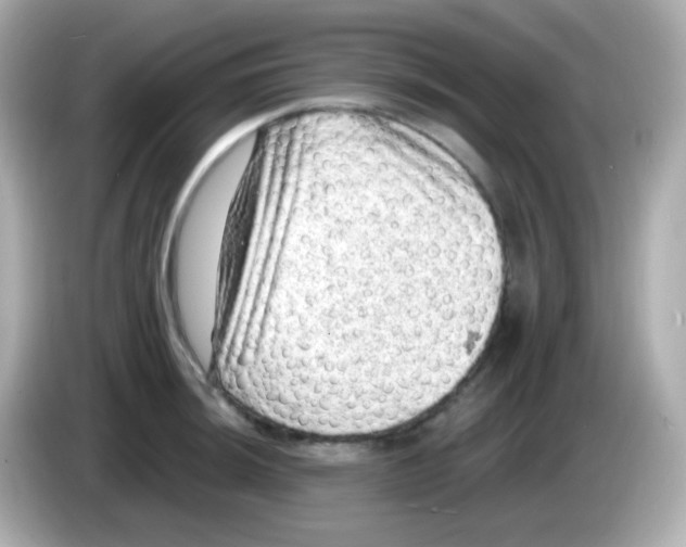 X0000085801044200704091445