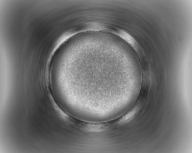 X0000085801046200704091445