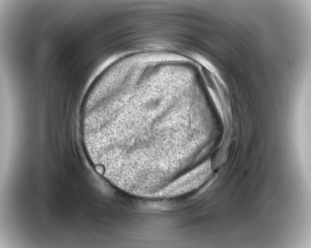 X0000085801047200704091445