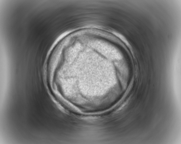 X0000085801048200704091445