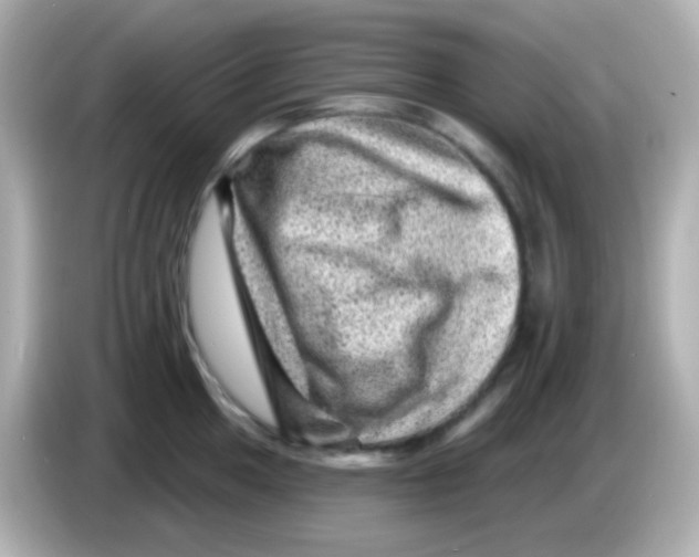 X0000085801049200704091445