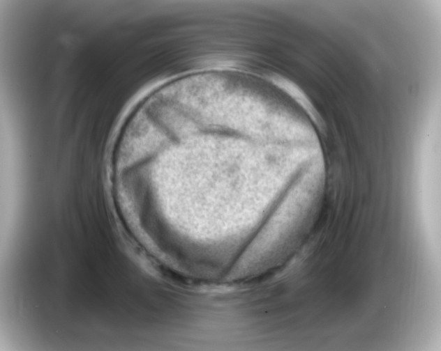 X0000085801051200704091445