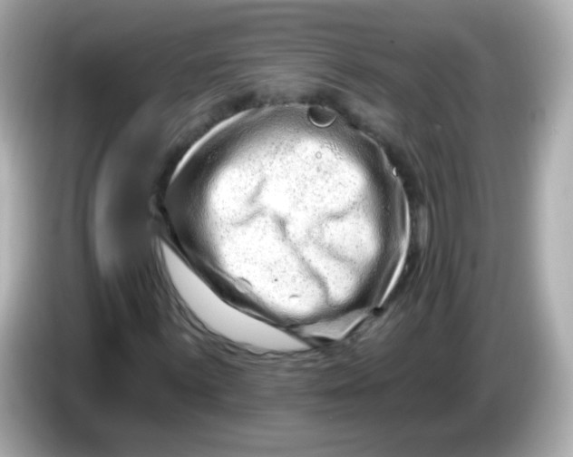 X0000085801059200704091445