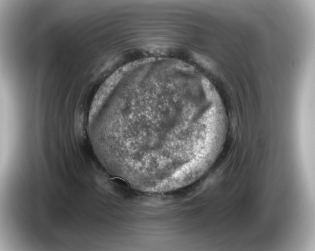 X0000085801060200704091445