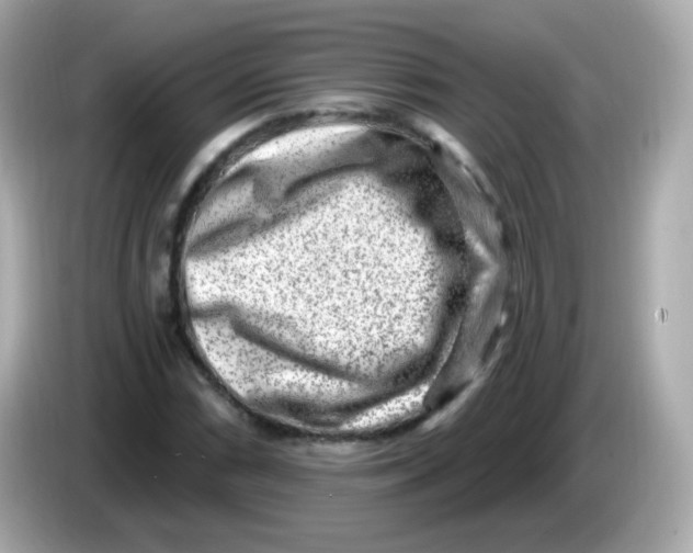 X0000085801066200704091444