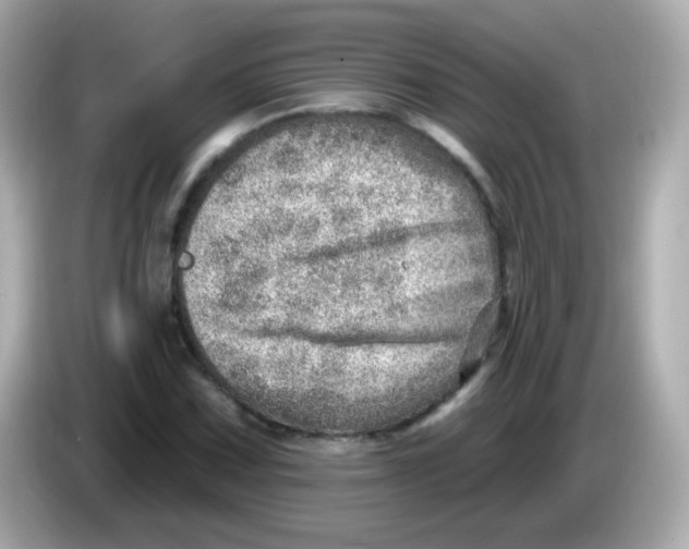 X0000085801067200704091444