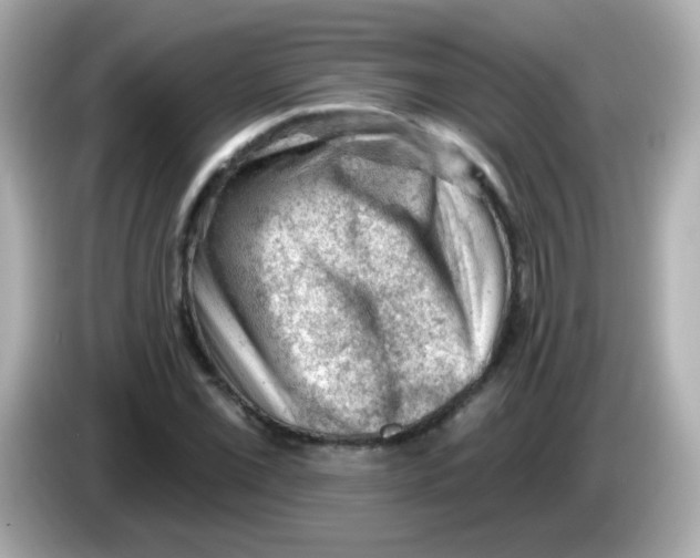 X0000085801069200704091444