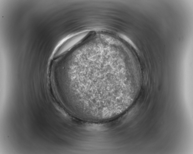 X0000085801071200704091444