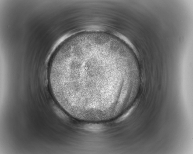 X0000085801075200704091444