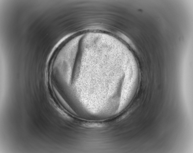 X0000085801076200704091444