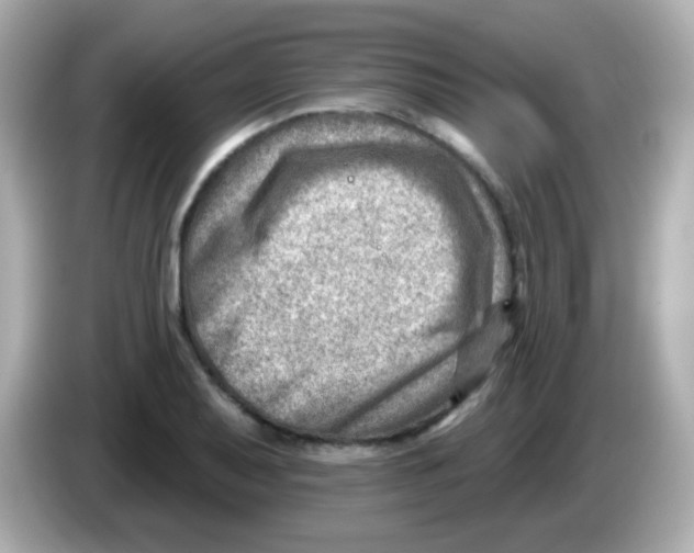 X0000085801079200704091444