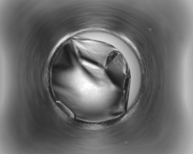 X0000085801085200704091444