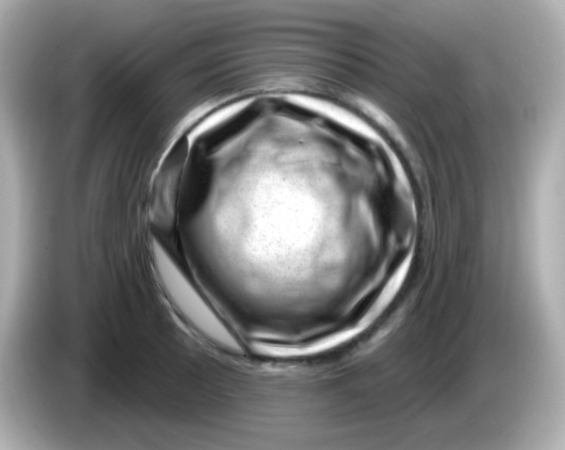 X0000085801089200704091444