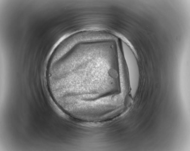 X0000085801091200704091444