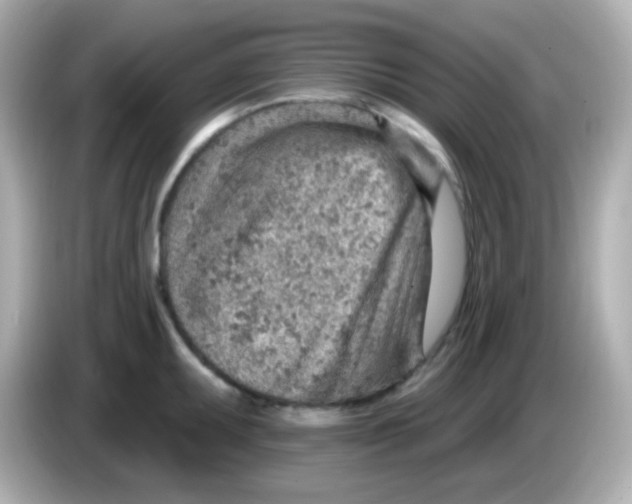 X0000085801095200704091444