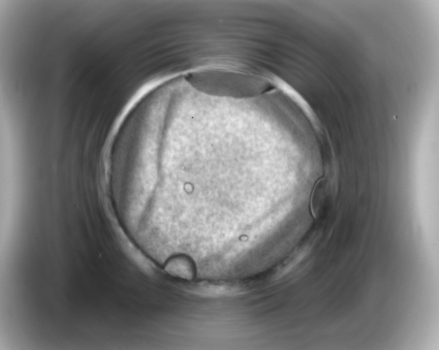 X0000085801099200704091444