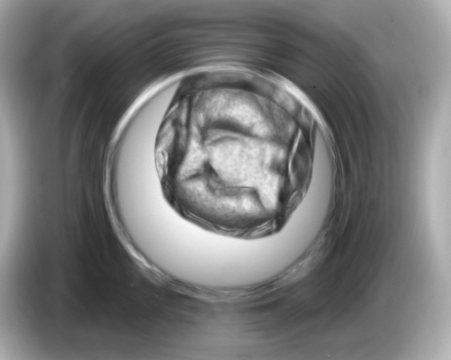 X0000085801101200704091444