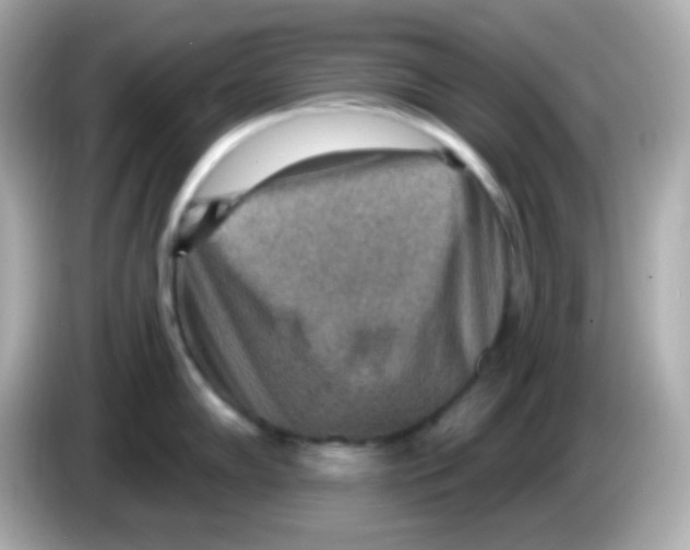 X0000085801102200704091444