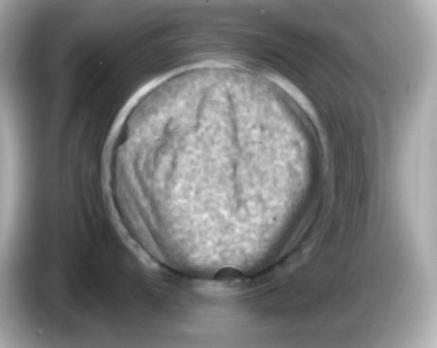 X0000085801104200704091444