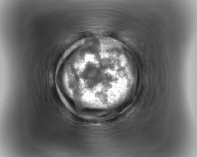 X0000085801106200704091443