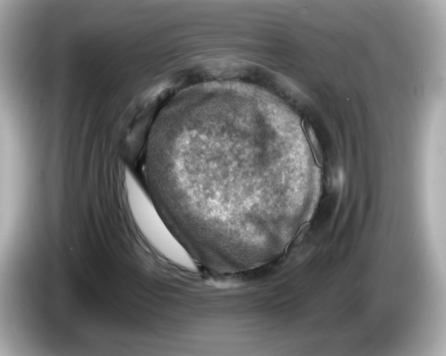 X0000085801108200704091443