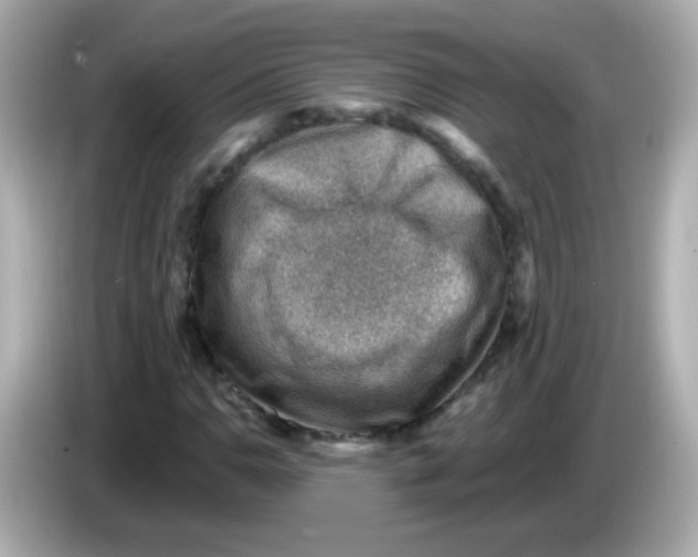 X0000085801110200704091444