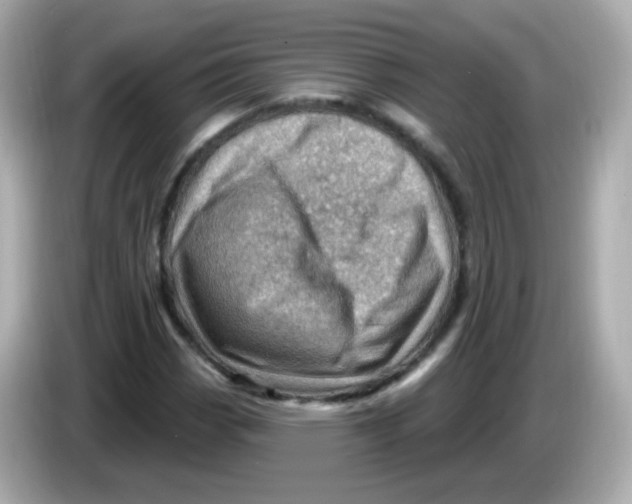 X0000085801113200704091444