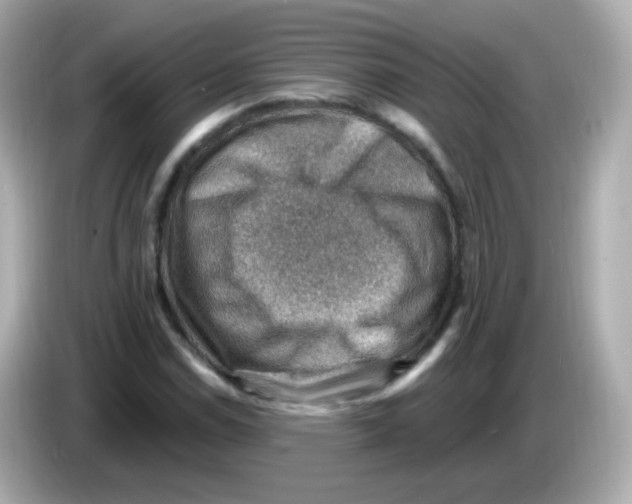 X0000085801114200704091444