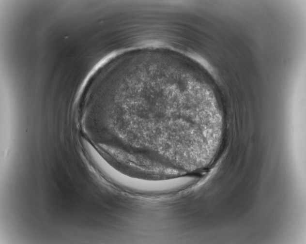 X0000085801118200704091444