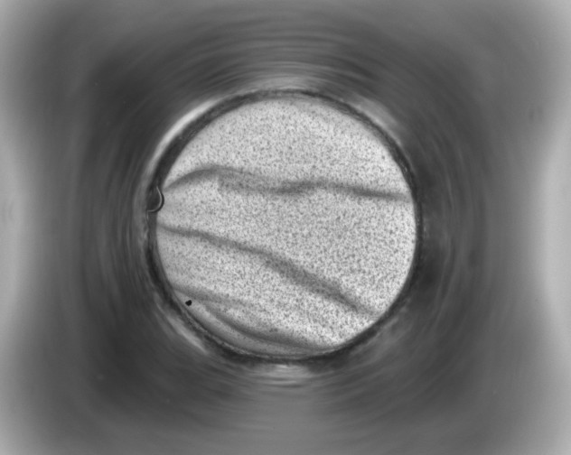 X0000085801119200704091444