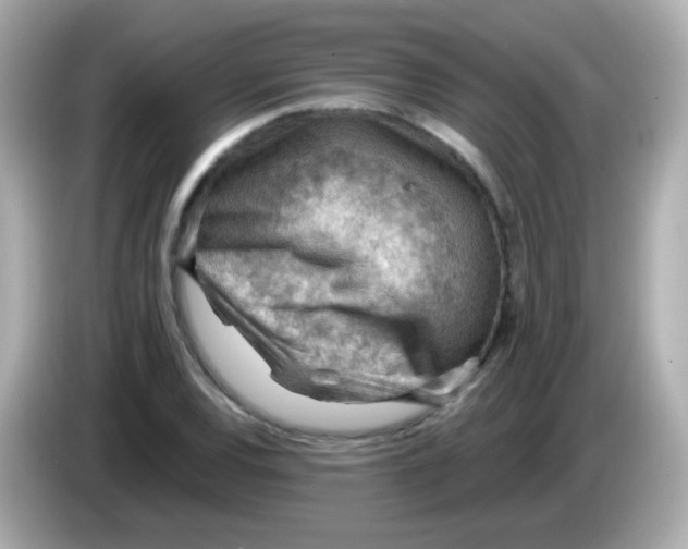 X0000085801120200704091444