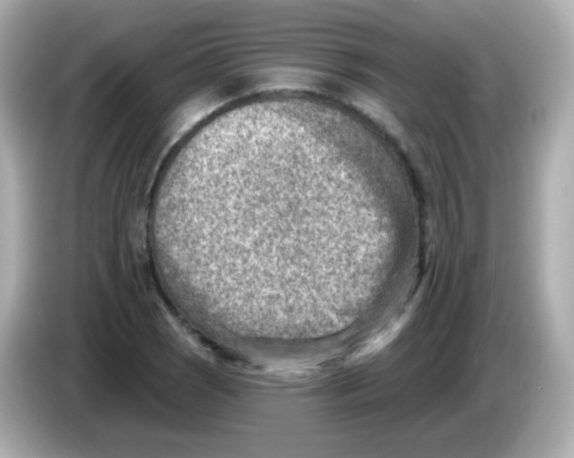 X0000085801121200704091444