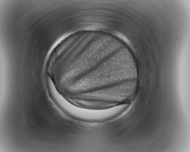 X0000085801122200704091444