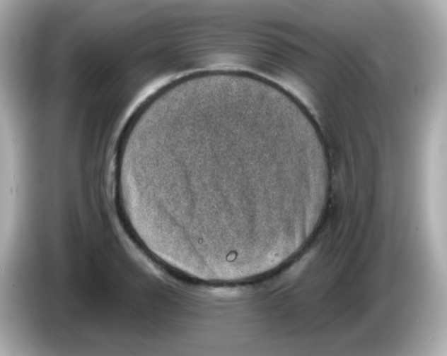 X0000085801126200704091444