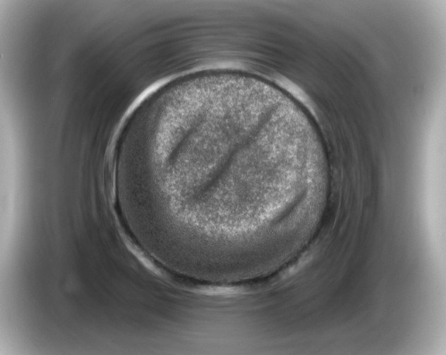 X0000085801127200704091444